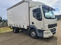 CAMION DOS EJES LONAS CORREDERAS DAF