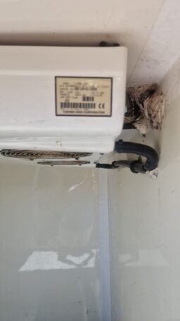 
FURGONETA FRIGORIFICA RENAULT TRAFIC 2010 full									