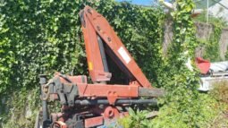 GRUA AUTOCARGA
